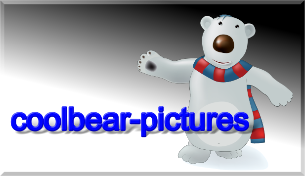 coolbear-picture.de